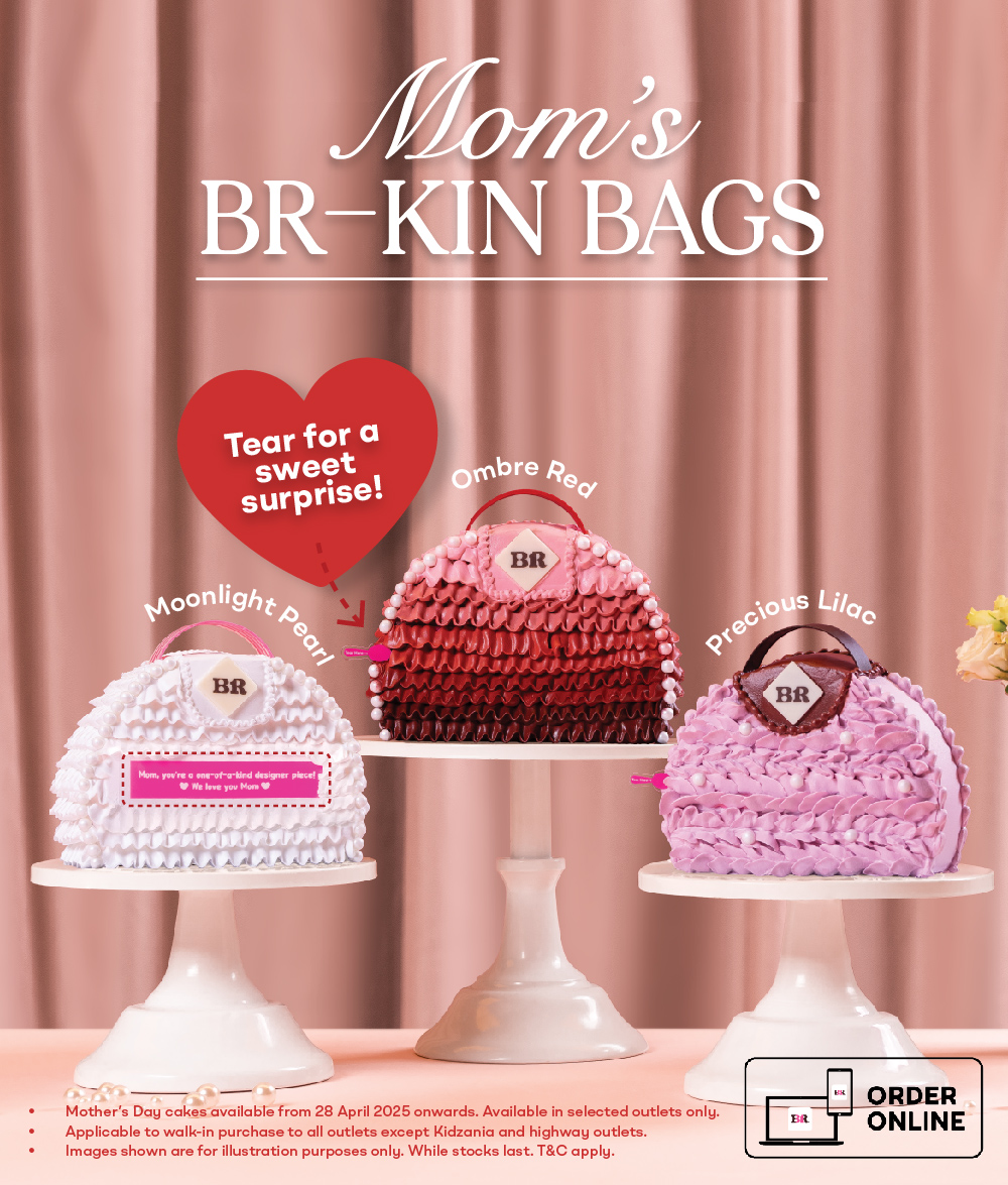 Br-kin ice cream cake Bags